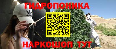 гидра Туймазы
