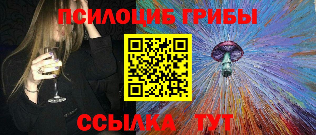 Галлюциногенные грибы Psilocybe  Вход с VPN  Галлюциногенные грибы мицелий  Новоалтайск 